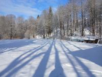 20250215_094101 (1024x768).jpg